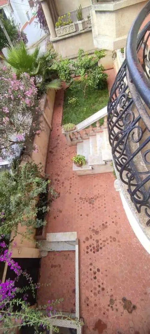Location Villa Alger Said hamdine