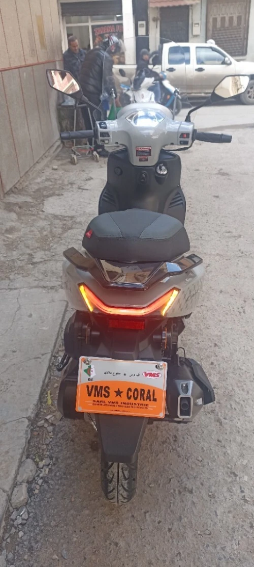 Coral Coral vms 2026