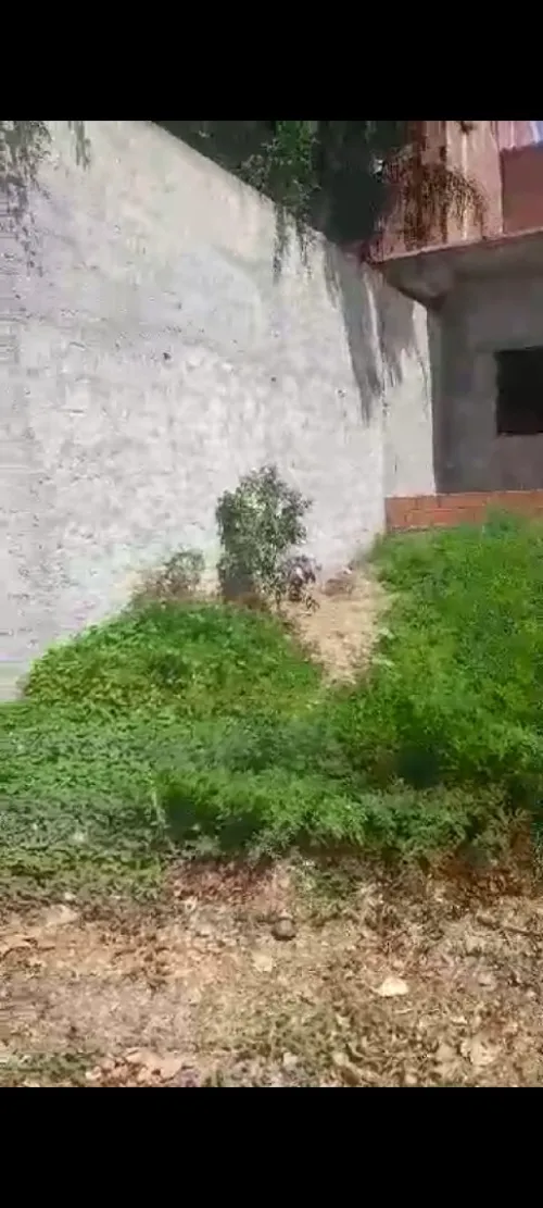 Vente Villa Blida Ben khellil