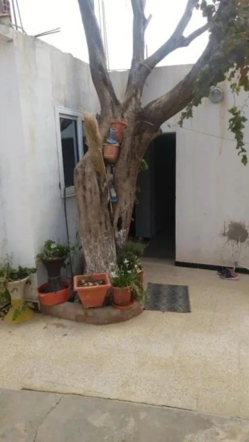 Location vacances bien immobilier F2 Chlef Beni haoua