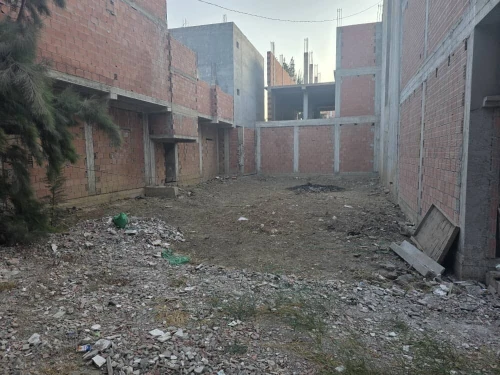 Vente Terrain Alger Les eucalyptus
