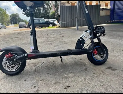 Scoter Scoter 