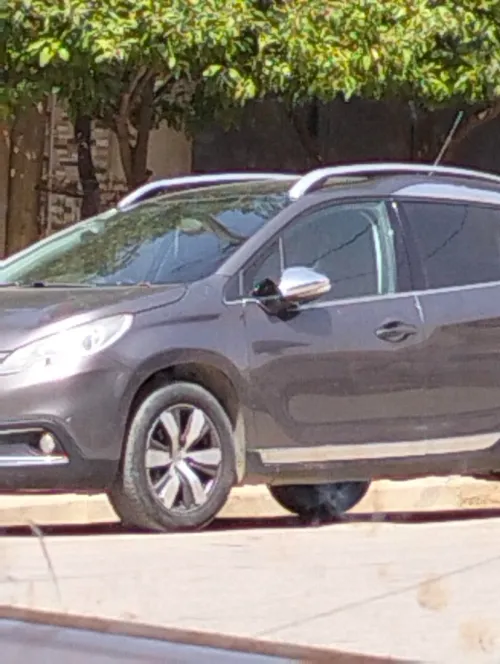 Peugeot 2008 2014 Erg