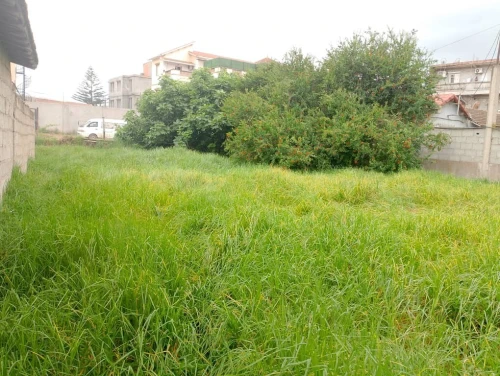 Vente Terrain Alger Rouiba