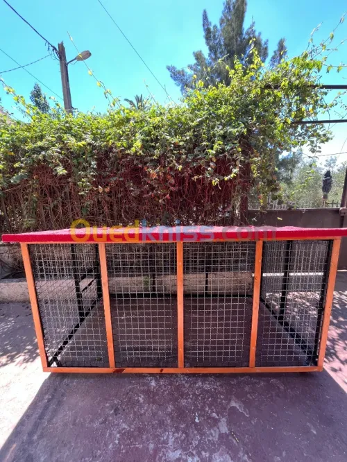 cage pour chien
