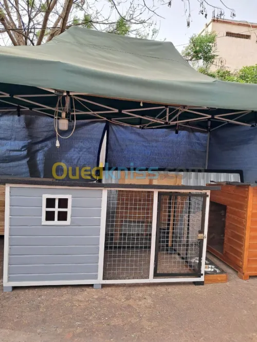 niche pour chien بيت كلاب 