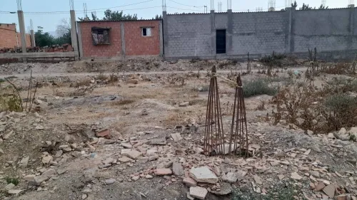 Vente Terrain Blida Ouled el alleug