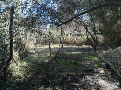 Vente Terrain Jijel Jijel