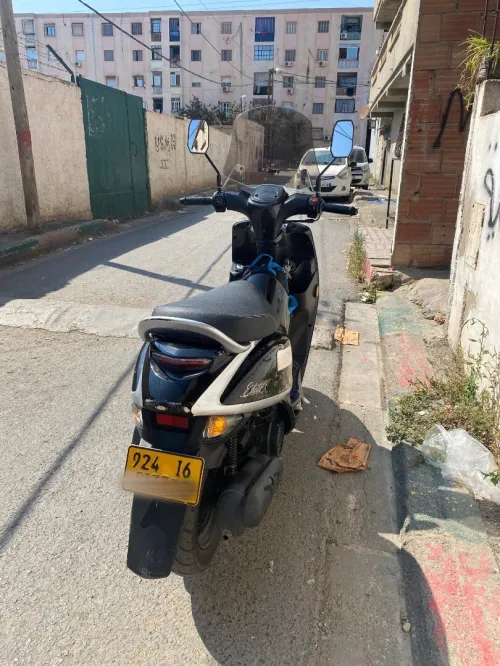 0555146653 Estate x 2024