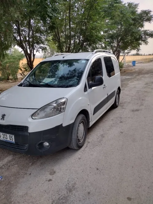 Peugeot Partner 2013 B9
