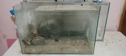 Aquarium 