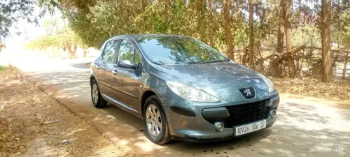 Peugeot 307 2006 Oxygo