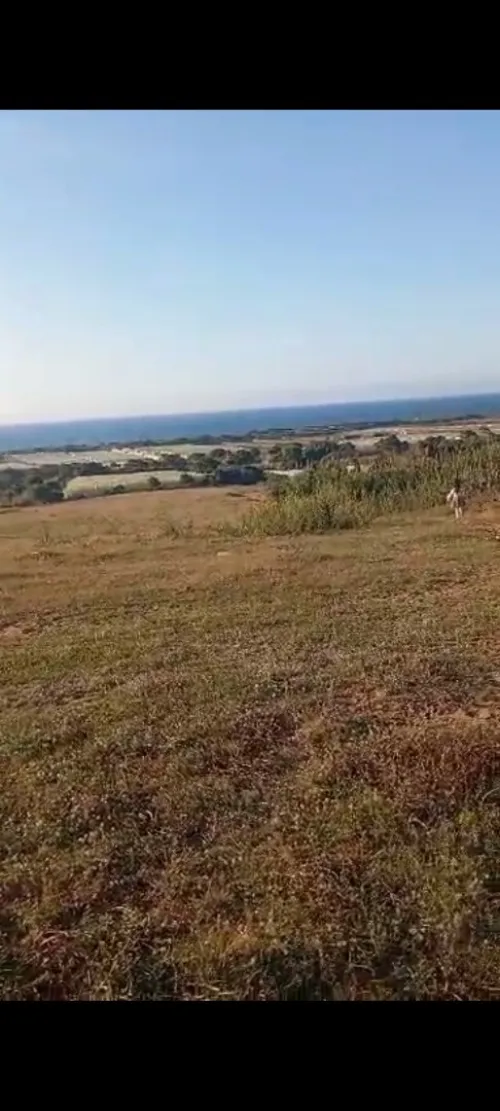 Vente Terrain Agricole Boumerdès Zemmouri