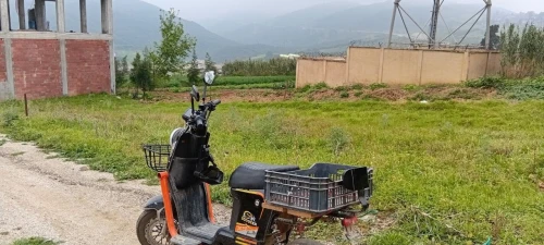 Scooser Electrique 2025