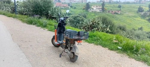 Scooser Electrique 2025