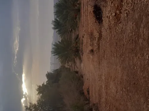 Vente Terrain Agricole Biskra Branis