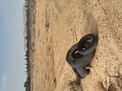 Vente Terrain Agricole Biskra Branis