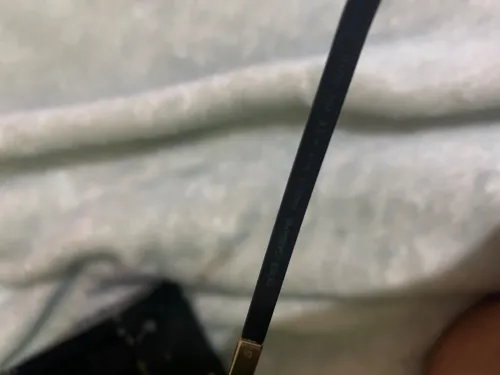 Lunette dolce gabbana gold edition original habtin caba italya