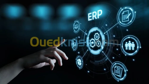 Installation et Personnalisation ERP Solutions de Gestion d'Entreprise