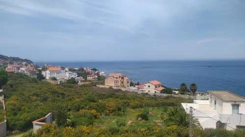Vente Carcasse Tizi ouzou Tigzirt