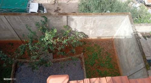 Vente Villa Alger Ain naadja
