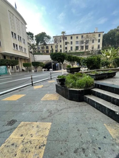 Location Local Alger Alger centre