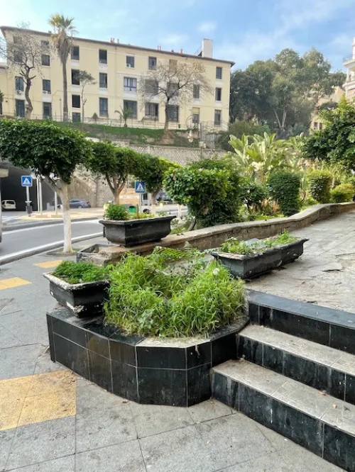Location Local Alger Alger centre