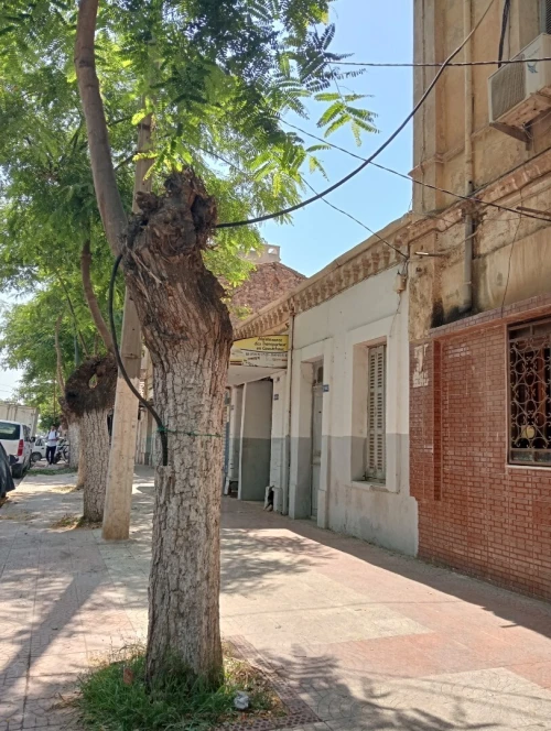 Vente Appartement F4 Blida Larbaa