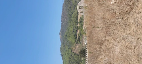 Vente Terrain Tipaza Cherchell