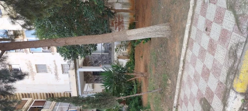 Vente Appartement F4 Alger Douera