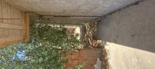 Vente Terrain Tipaza Cherchell
