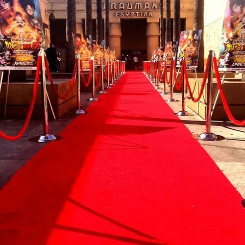 Tapis Rouge Fih 20M*1.05