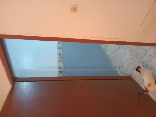 Location Appartement F2 Alger Beni messous