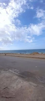 Location Local Mostaganem Mostaganem