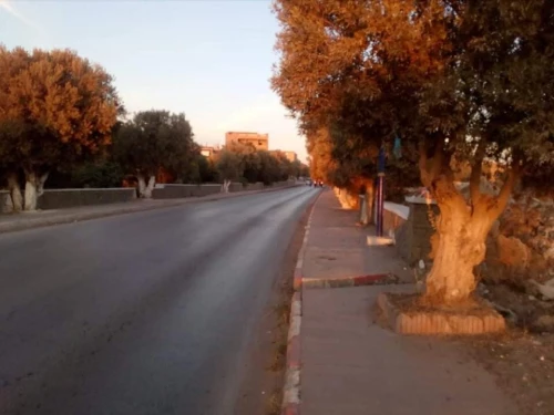 Vente Terrain Oran Ben freha