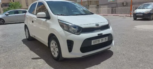 Kia Picanto 2019 Funny