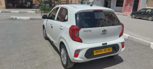 Kia Picanto 2019 Funny