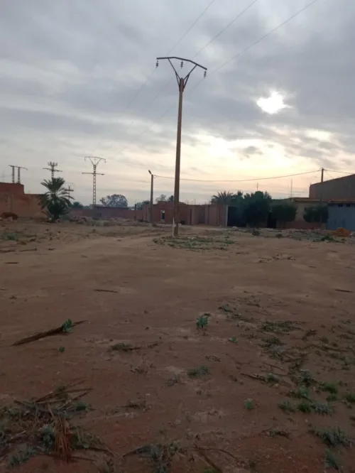 Vente Terrain Biskra Lichana