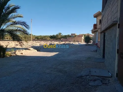 Vente Terrain Biskra Lichana