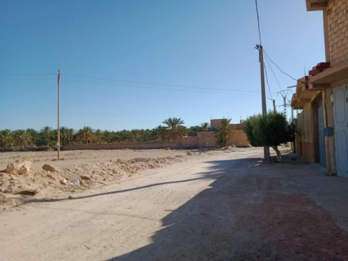 Vente Terrain Biskra Lichana