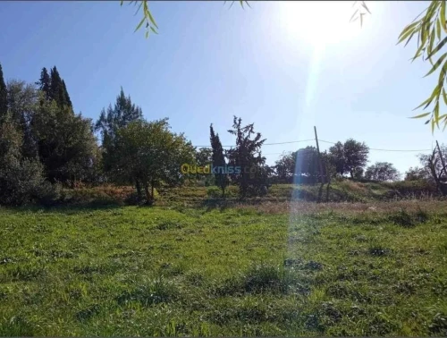 Vente Terrain Médéa Medea