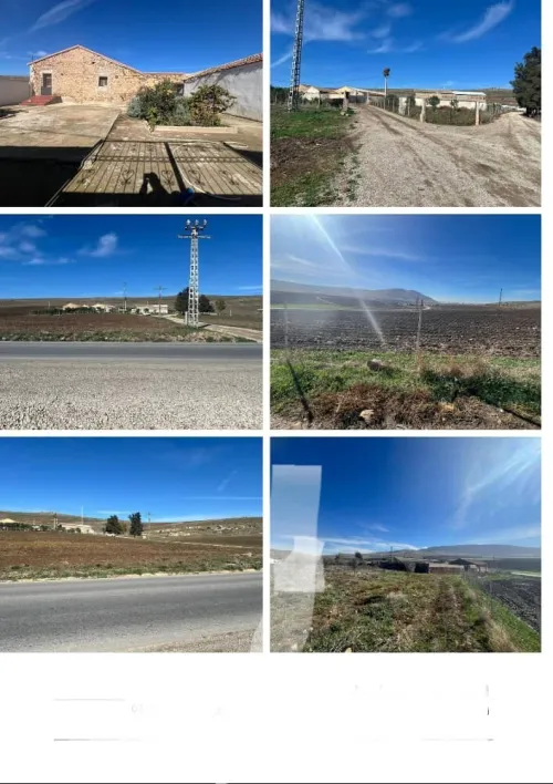 Vente Terrain Agricole Constantine El haria