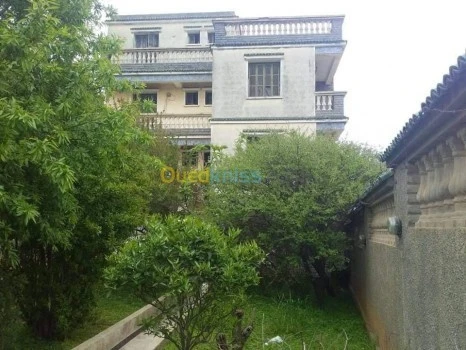 Location Villa Alger Dely brahim