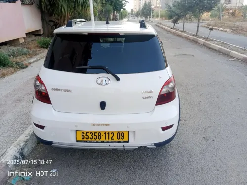 Great Wall Florid 2012 Cross