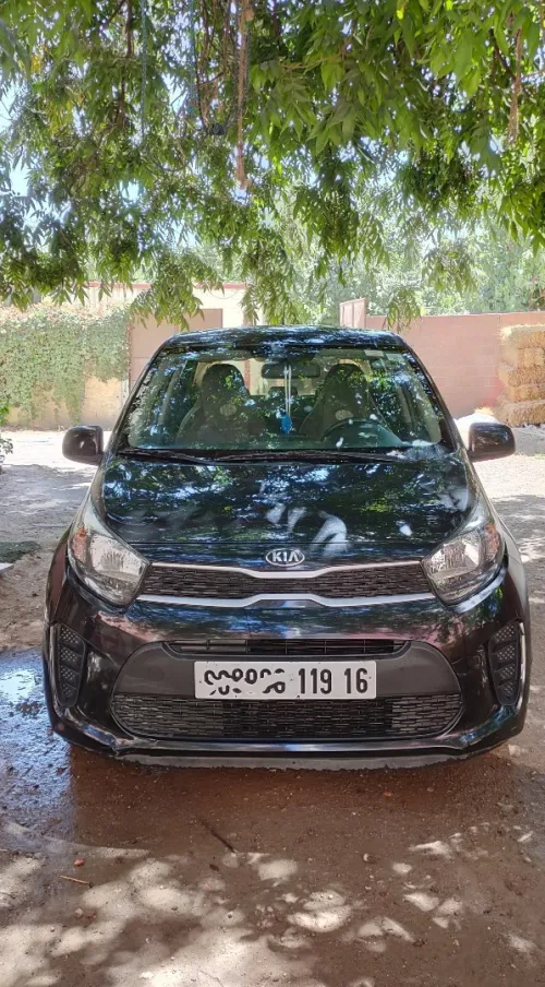 Kia Picanto 2019 LX Start