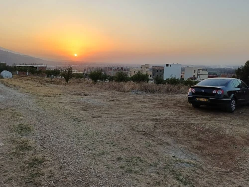 Vente Terrain Blida Bougara