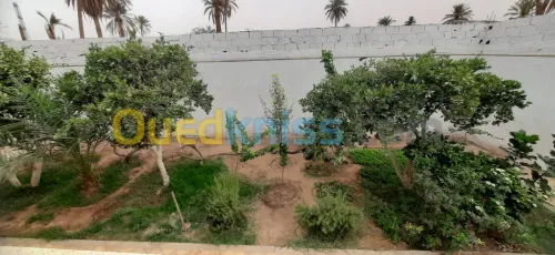Vente Niveau De Villa F6 Laghouat Laghouat