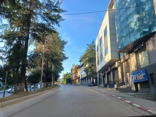 Location Villa Alger Dely brahim