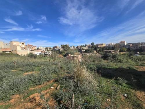 Vente Terrain Alger Saoula