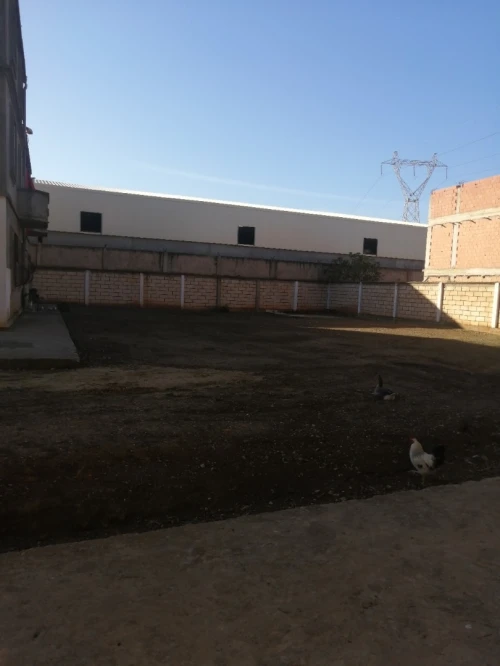 Vente Terrain Alger Ouled chebel